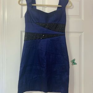 Indigo Blue with sequence dress